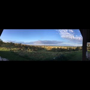 Meet your Posher, Joni